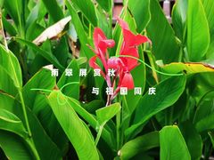 -南翠屏公园