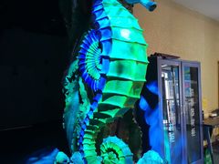 -乌鲁木齐海洋馆