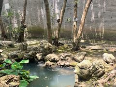 -天一阁博物院