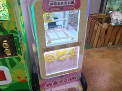 -正佳雨林生态植物园