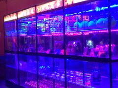 -横店电影城(住邦店)