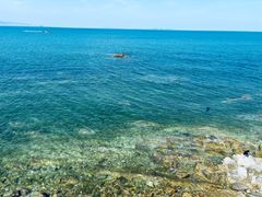-养马岛旅游度假区