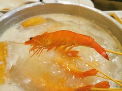 粥底火锅-吉友粥底火锅(方斜路店)