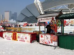 -沈阳奥体冰雪嘉年华