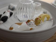 -猫里有甜
