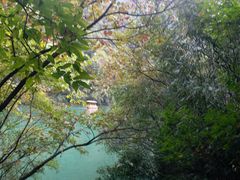 -郧西五龙河风景区
