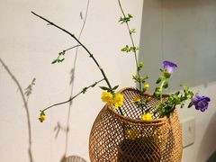 -茶是一枝花泡茶店