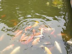 -珠海圆明新园