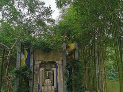 -老木棉·匠园