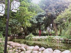 -成都市活水公园