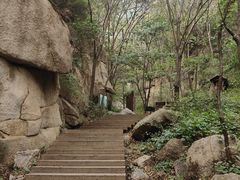 -大岭沟猕猴桃谷风景区