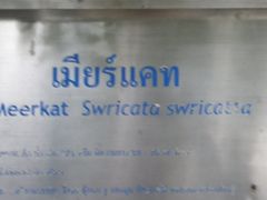 -清迈夜间动物园