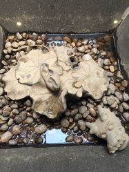 -梅龙镇酒家·宴会厅(南京西路总店)