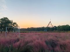 -艾溪湖湿地公园