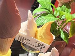 -野人先生现做冰淇淋(北京王府井东方新天地店)
