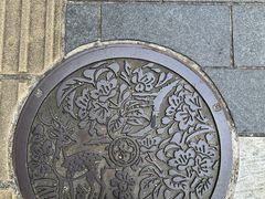 -奈良公园