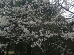 -贵阳市花溪国家城市湿地公园