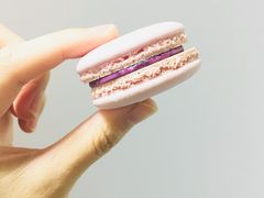 -麦雪尔甜品·生日蛋糕(新街口旗舰店)