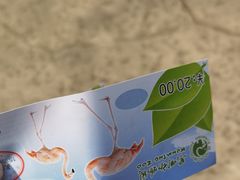 -昆明动物园
