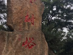 -鲁山国家森林公园