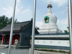 -西塔