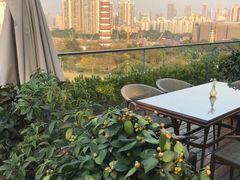 -小茶闲舍·观景商务茶馆(广州塔店)