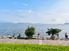 -深圳湾公园(南山区)