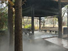 -东湖落雁景区