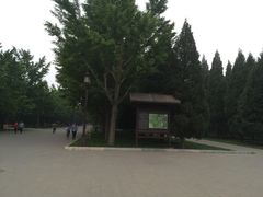 -护国寺小吃(安定门店)