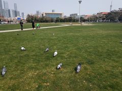 -大连人民广场