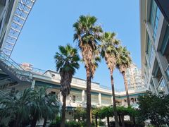 -沈坚强游泳俱乐部(长征分部)