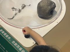 -正佳自然科学博物馆