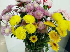 -杭州街角花屋花店(闻堰店)