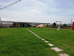 -美家乐农庄·露营·团建(大治路店)