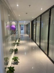 -SILKTONE诗丽堂美容