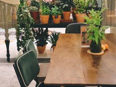 大堂-PlantsEatery·植物食堂(REX春熙店)