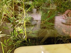-初蓉丨遇见新川菜(亲贤街荣耀店)