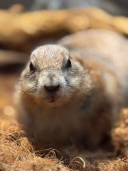 -Zoolung Zoolung动物主题公园(海信广场店)