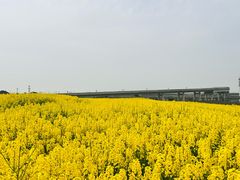 -三圣花乡旅游区