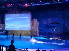 -华夏文旅海洋公园