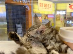 -好世界商业广场(北京国际中心店)