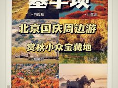 -塞罕坝国家级自然保护区