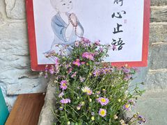 -寂照庵