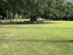-深圳仙湖植物园