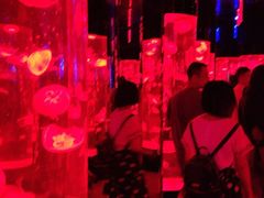 -成都浩海立方海洋公园