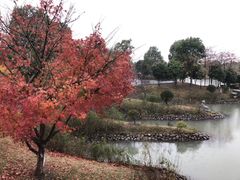 -东台西溪天仙缘景区