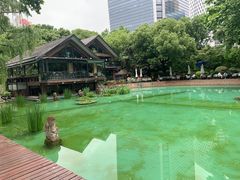 -静安公园(静安寺街道)
