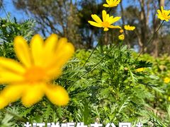 -西湖风景区-江洋畈生态公园