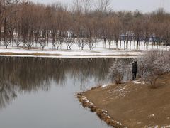 -大兴滨河森林公园