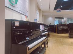 -柏斯琴行(汾阳店)